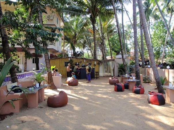Little Nest Hotel Mandrem Exterior foto