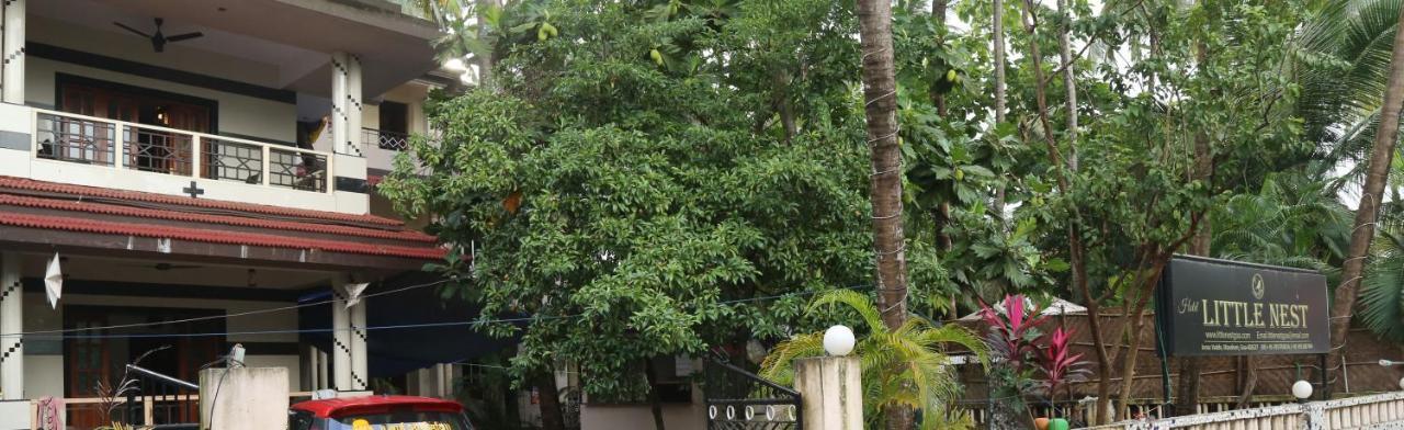 Little Nest Hotel Mandrem Exterior foto